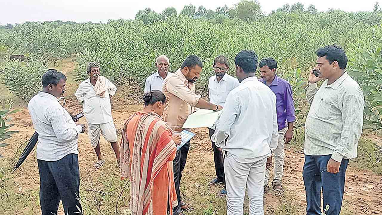 ముమ్మరంగా పోడుభూముల సర్వే