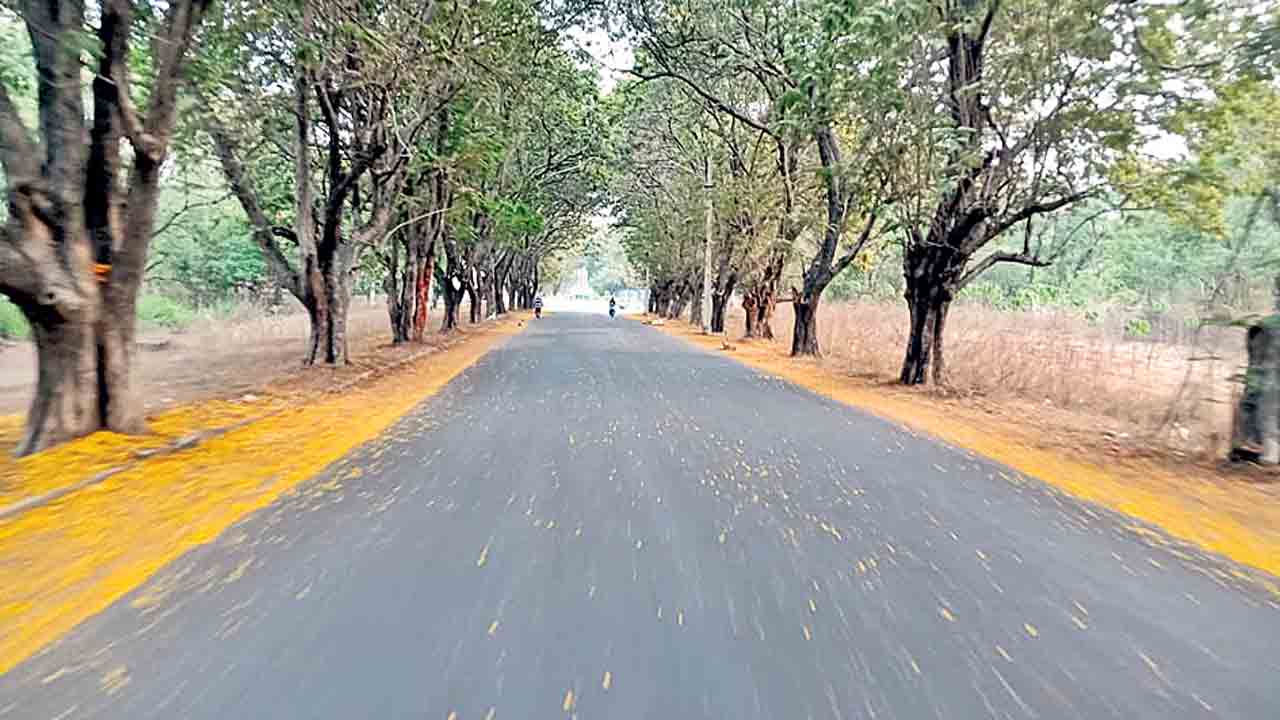 భెల్‌లో సినిమా షూటింగ్‌ల జోరు..