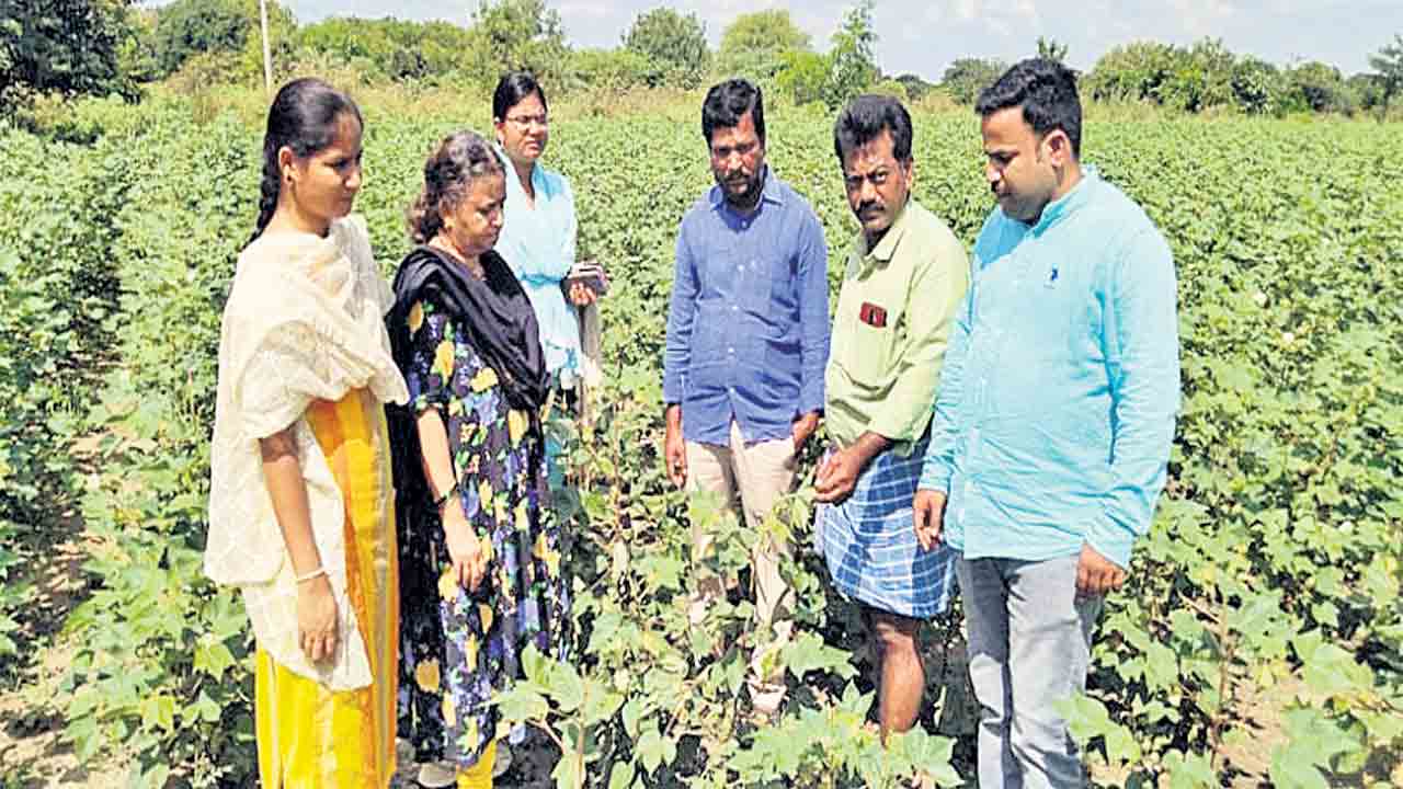 పంట మార్పిడి పాటించాలి