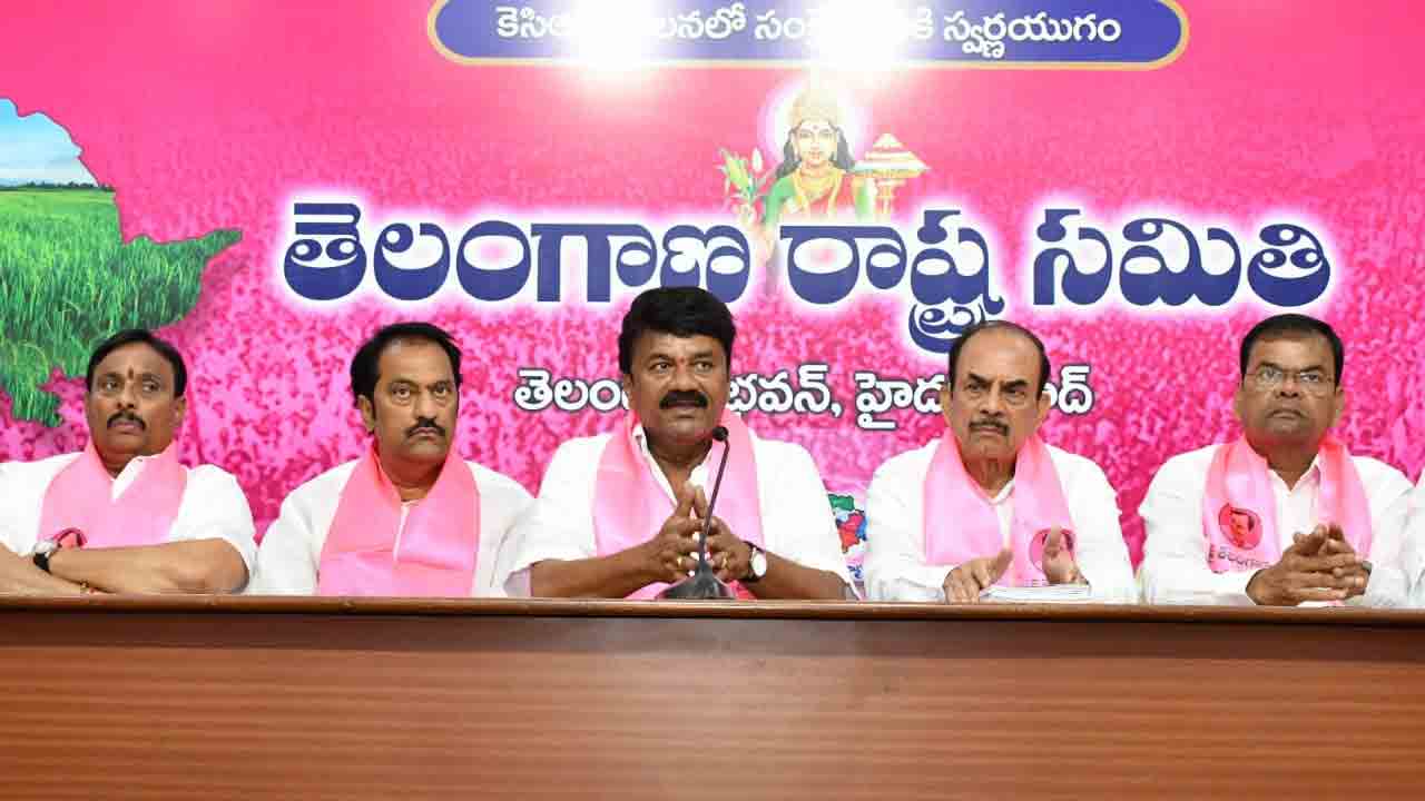 5న హైదరాబాద్‌లో సంబురాలు : మంత్రి తలసాని