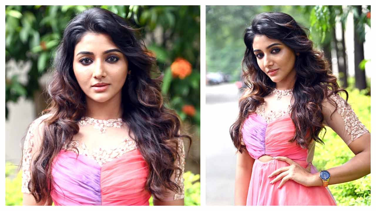 Mirna Menon | క్రేజీ ఫెలో మూవీ సక్సెస్ మీట్‌లో మిర్నా మీనన్