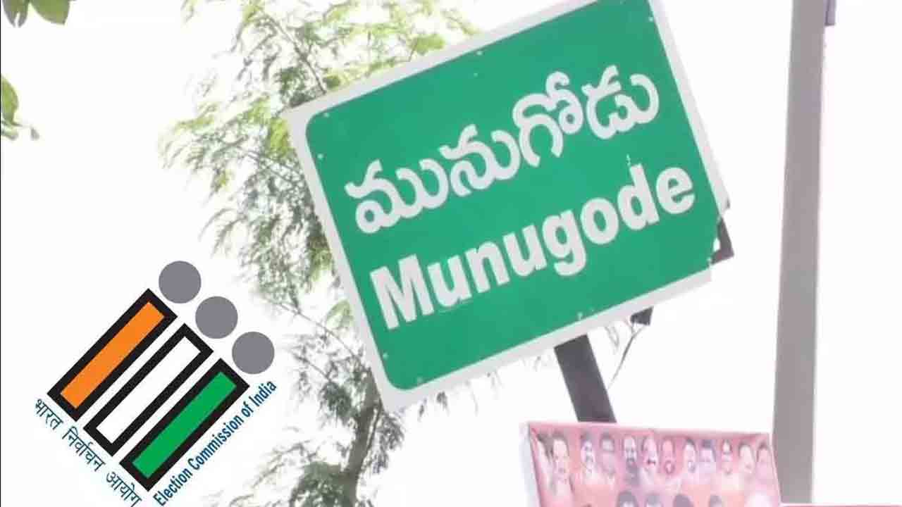 Munugode Elections | అన్ని బూత్‌లకు వెబ్‌ కాస్టింగ్‌ ఏర్పాటు : సీఈవో వికాస్‌ రాజ్‌