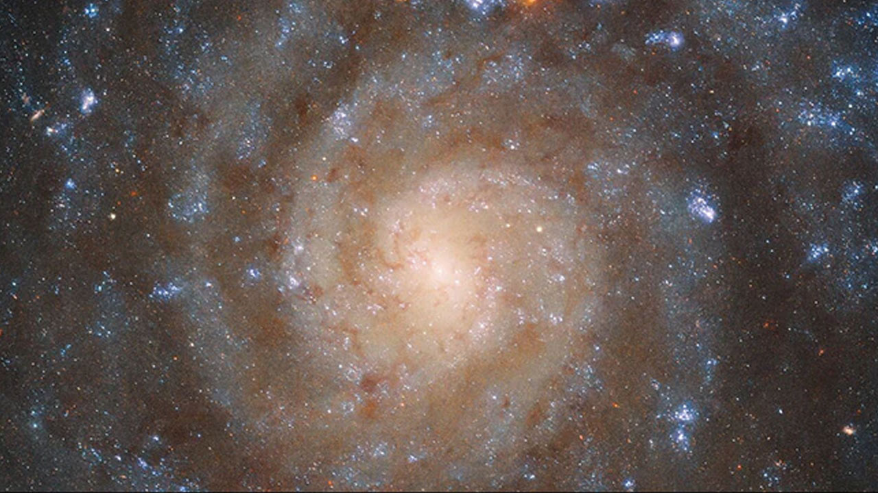 NASA | క్లియర్గా కెమెరాకు చిక్కిన పాలపుంత కంటే పెద్ద గెలాక్సీ.. ఫొటోలు వైరల్