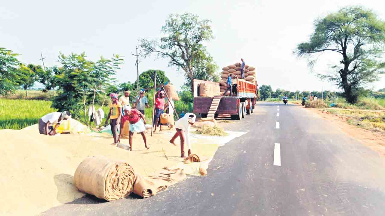 వరి కోతలు షురూ