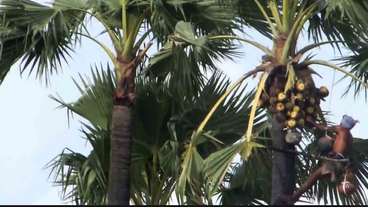 గీత కార్మికులకు బాసటగా..