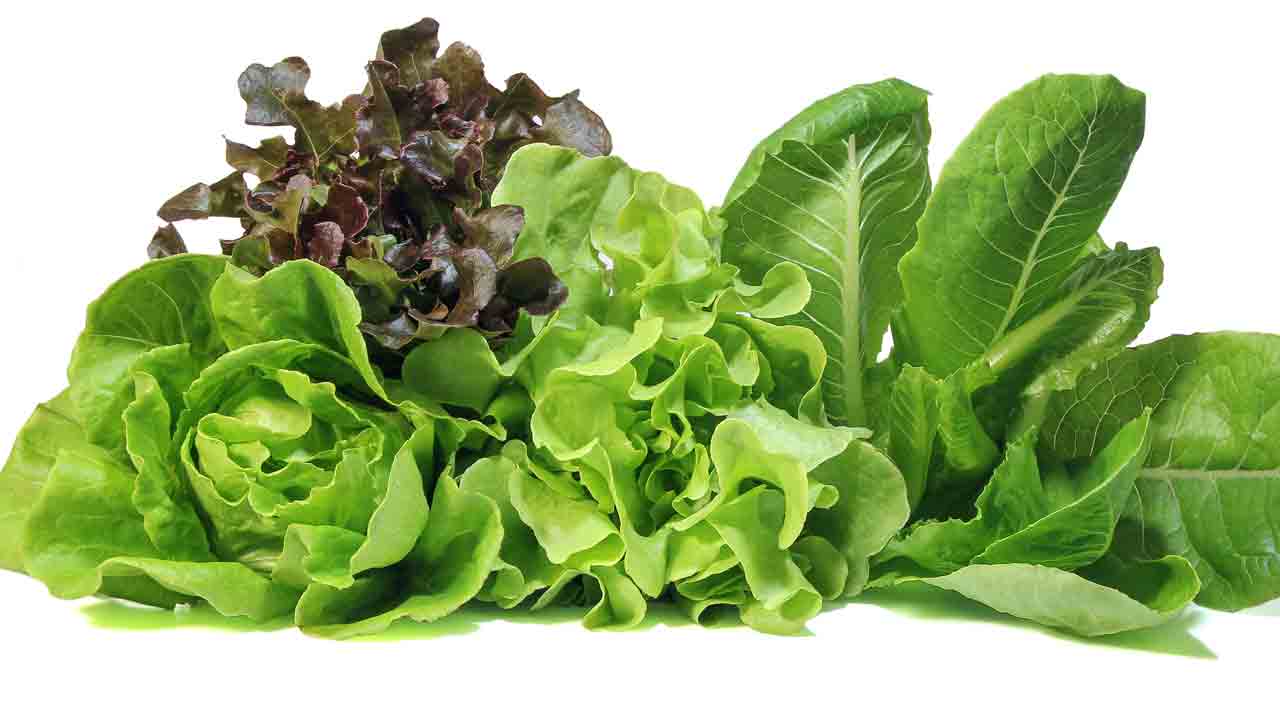 మితిమీరితే..విషతుల్యమే!