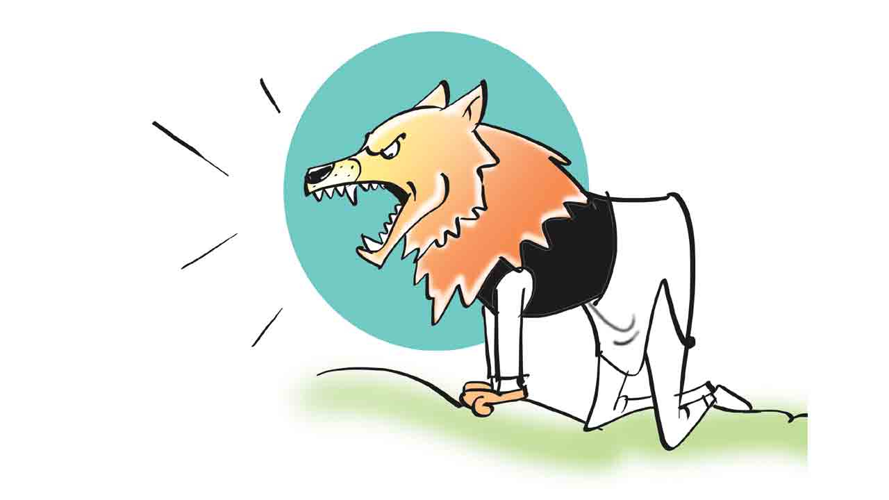 తోడేలు కాషాయం కట్టినట్లు