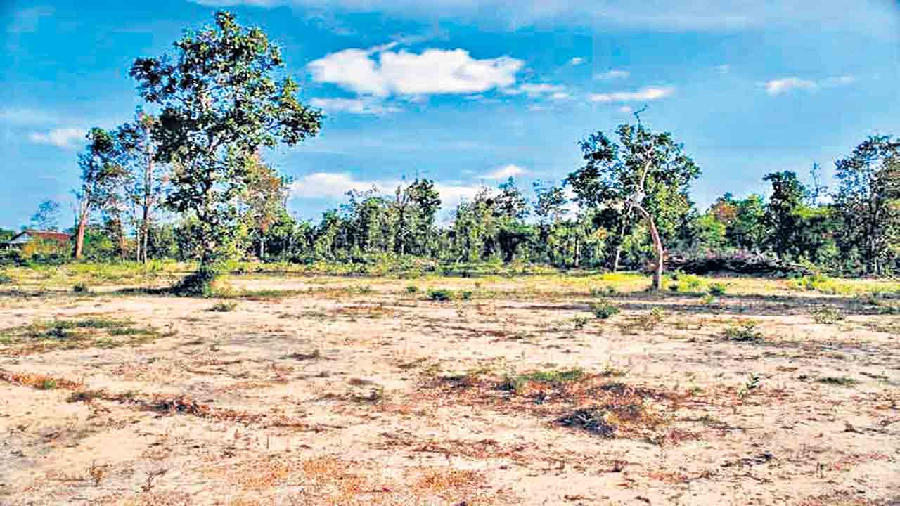 111 గ్రామపంచాయతీల్లో 21,761 ఎకరాల పోడు భూములు