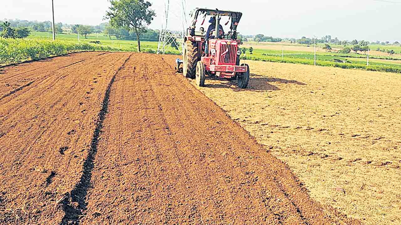 జోరుగా యాసంగి పనులు