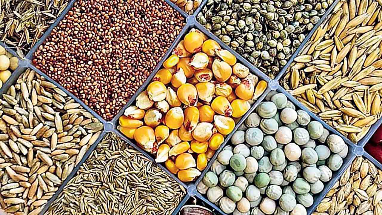 యాసంగి సాగు అంచనా 95,042 ఎకరాలు