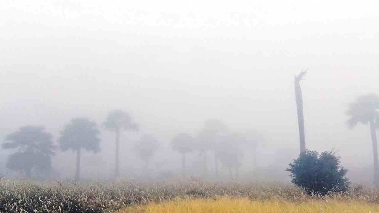 రంగారెడ్డి జిల్లాలో విజృంభిస్తున్న చలి