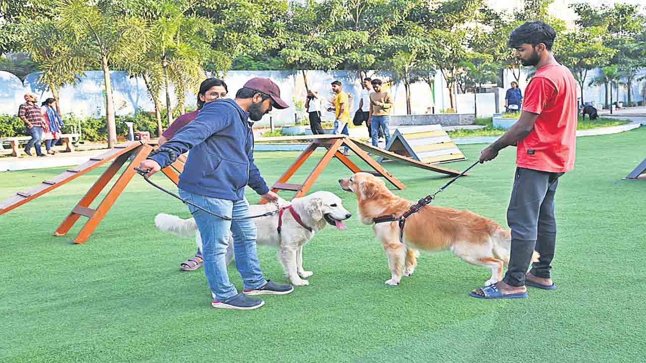 అమూల్య నేస్తాలు ఆ త్మీయ బంధాలు