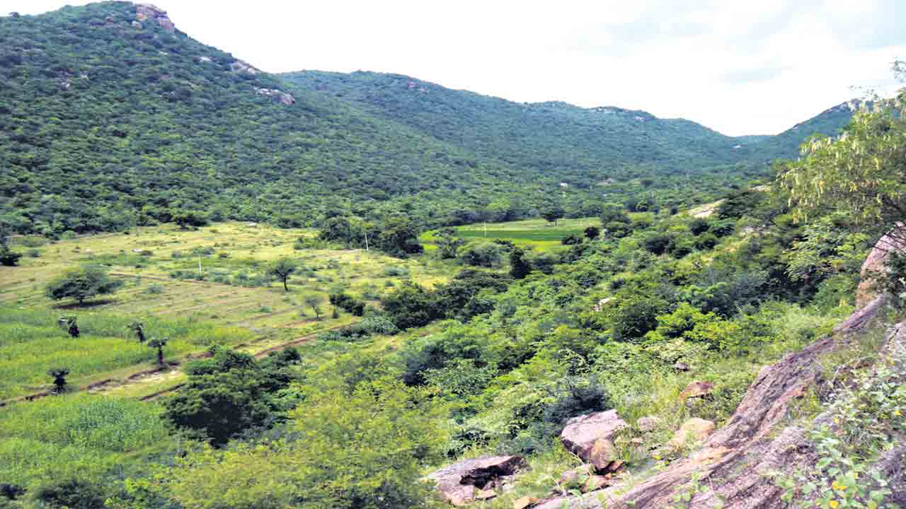 నీటిని ఒడిసిపట్టే.. గాడివంపువాగు చెక్‌డ్యాం