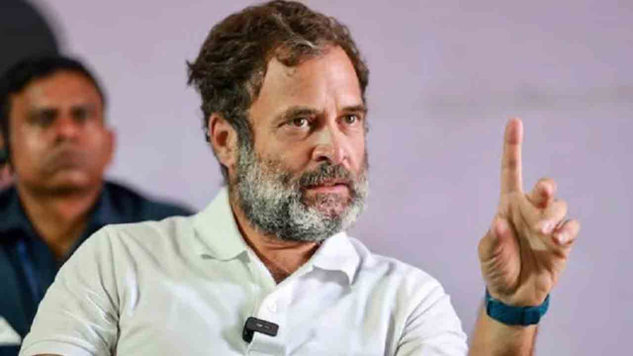 పార్టీలో నా పాత్ర ఏంటన్నది అధ్యక్షుడే నిర్ణయిస్తారు : రాహుల్‌ గాంధీ