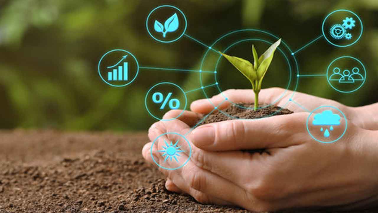 Idea please | అగ్రి బిజినెస్‌పై ఐడియాతో రండి.. రూ.25 లక్షలు పెట్టుబడిగా అందుకోండి..!