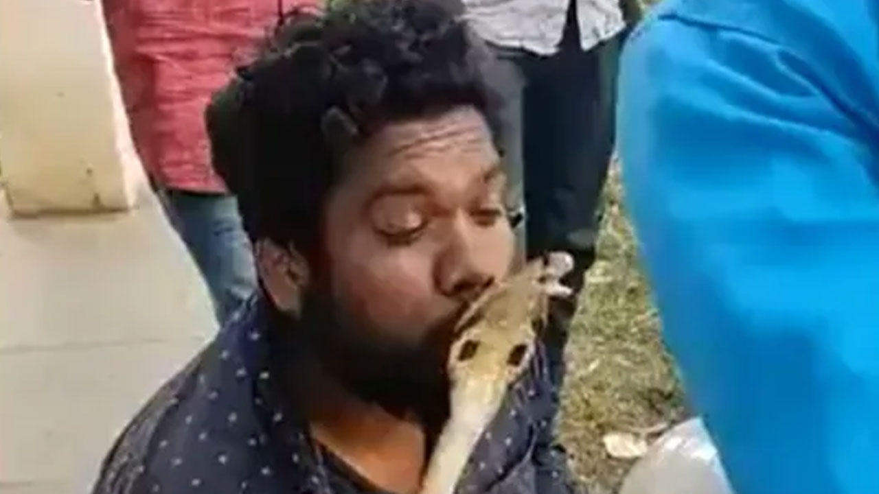 Snake Bite | పాముకు కిస్‌ ఇచ్చాడు.. తిరిగి అది దాని స్టైల్లో ఇచ్చింది!.. వీడియో వైరల్‌