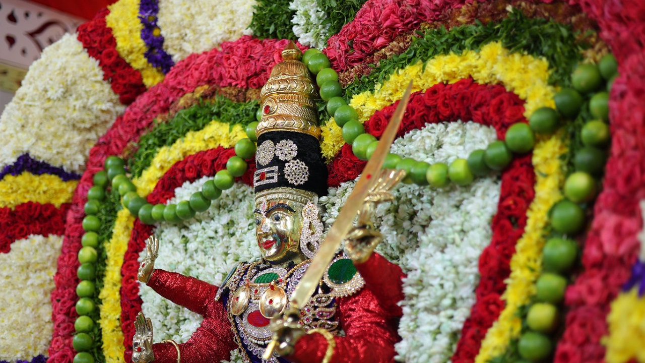 కాత్యాయనీ అలంకారంలో శ్రీశైల భ్రామరీ.. ఘ‌నంగా ద‌స‌రా మ‌హోత్స‌వాలు