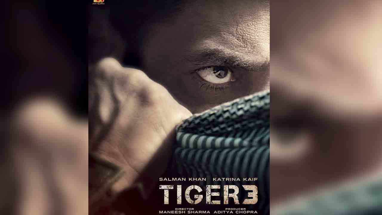 TIGER-3 | సల్మాన్ ఖాన్ ‘టైగర్-3’ ఆ భాషల్లో కూడా రిలీజ్ కానుందా?