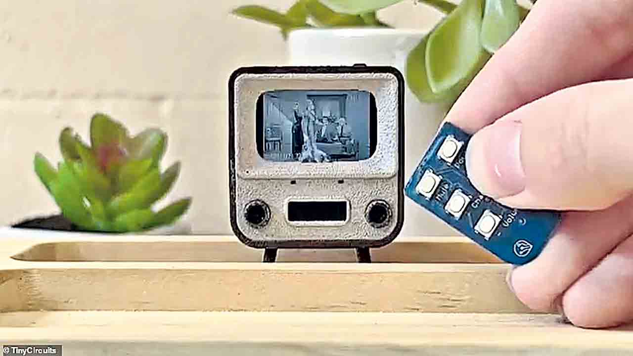 ప్రపంచంలోనే అత్యంత తక్కువ సైజు ఉన్న టీవీ