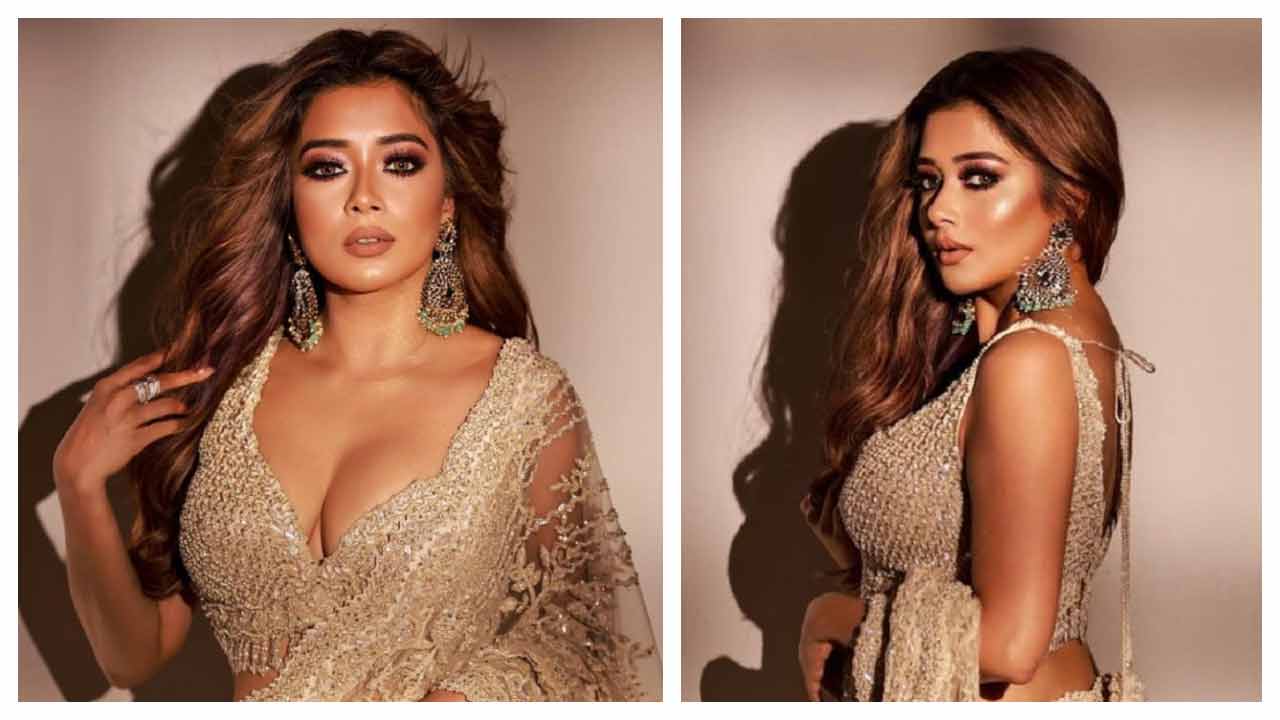 Tina Datta | శారీలో అందాలు ఒలకబోస్తున్న టీనా దత్తా..