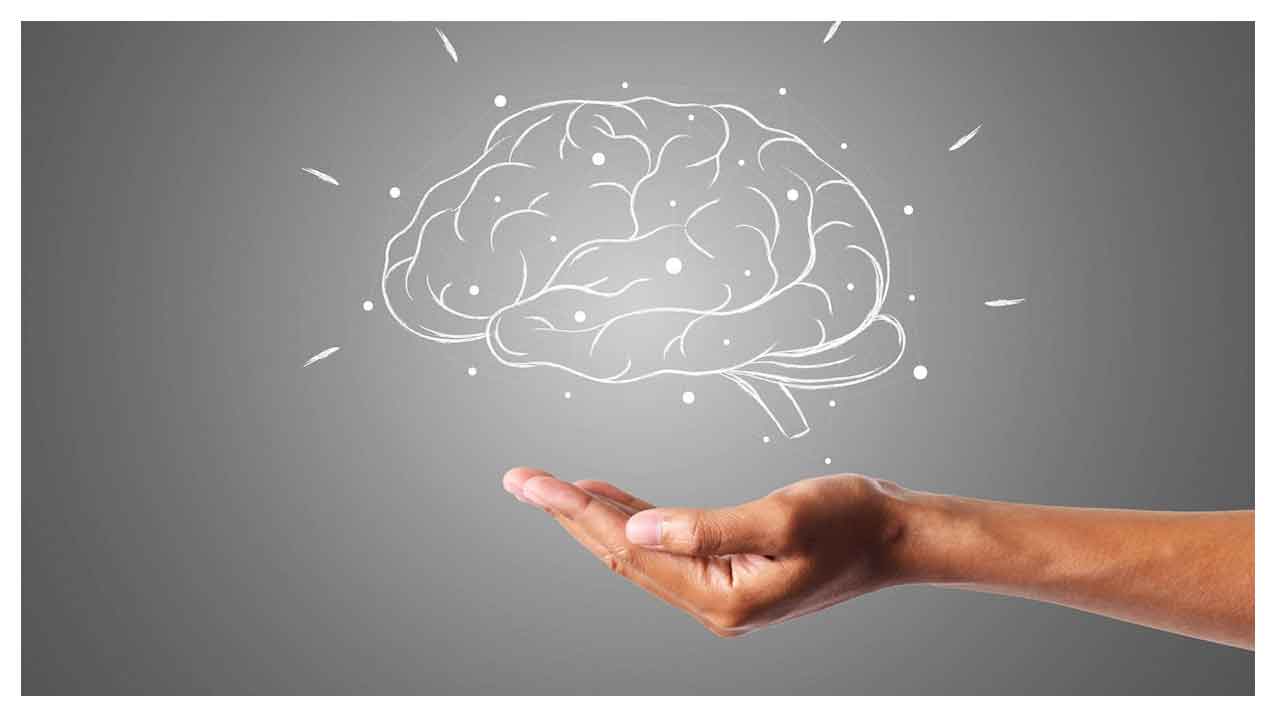 Improve Memory | జ్ఞాపకశక్తి కోల్పోతున్నారా..? అయితే ఈ టిప్స్‌ మీ కోసమే..!