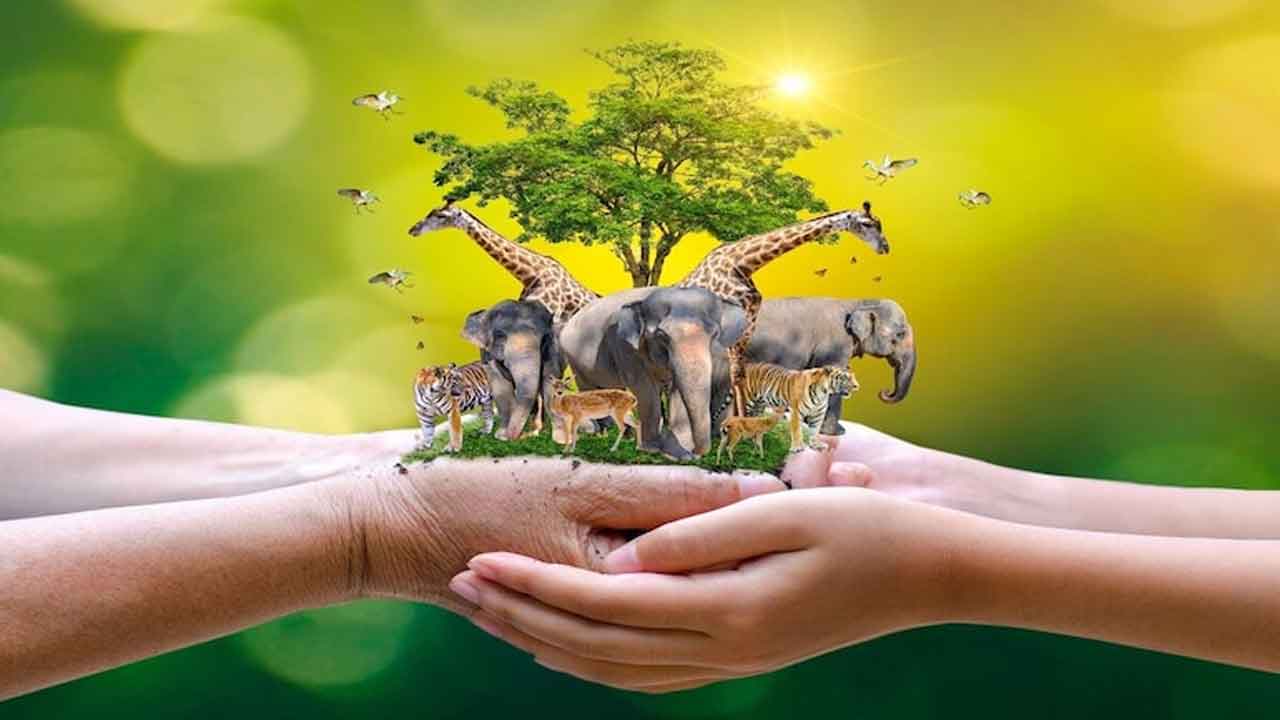 World Animal Day 