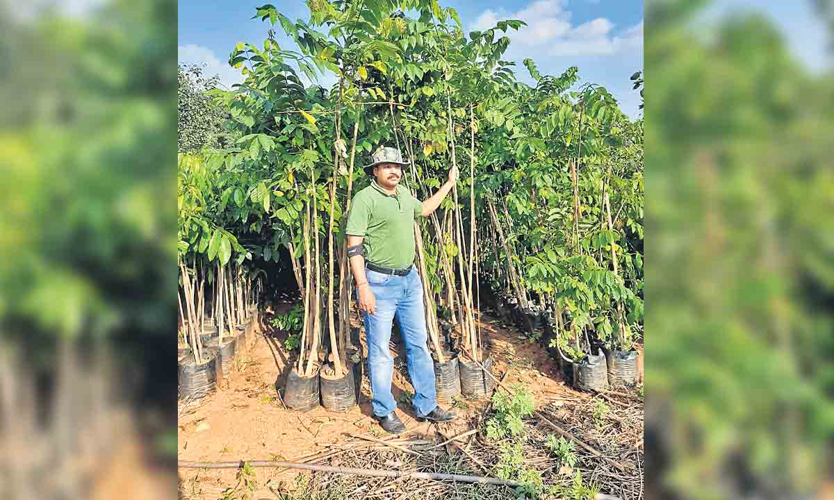 తెలంగాణకు హరితహారం ఆదర్శం