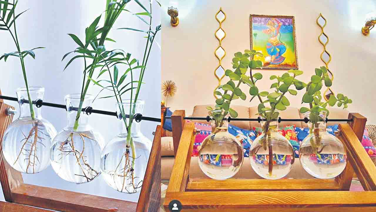 ఊయల కుండీలు