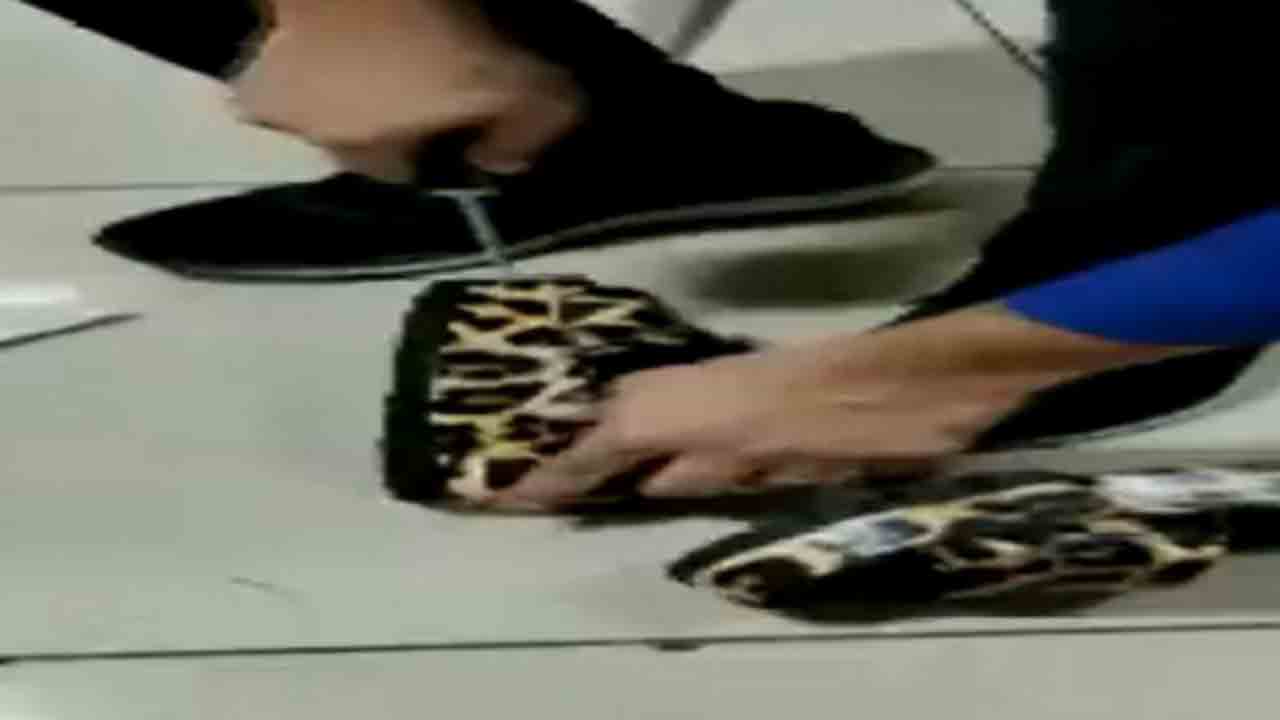 Watch: కోట్ల విలువైన కొకైన్‌ను శాండిల్స్‌లో దాచిన మహిళ… పసిగట్టిన కస్టమ్స్‌ అధికారులు