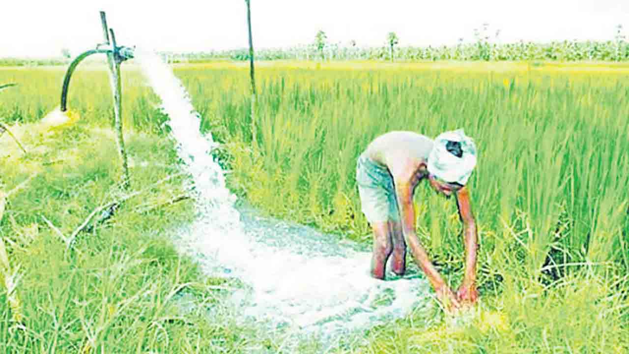 కేసీఆర్‌ రావాలి.. రైతు గోస తీరాలి.. వివిధ రాష్ర్టాల రైతుల మనోగతం