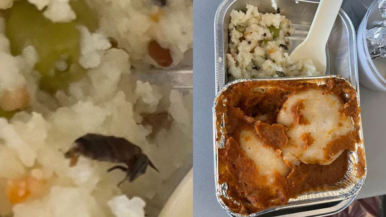 ఎయిర్‌లైన్స్‌ నిర్వాకం : ఫుడ్‌ ప్యాకెట్‌లో బొద్దింక ప్రత్యక్షం