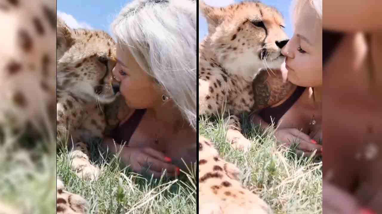 Viral Video: షాకింగ్‌… చిరుతతో యువతి ముద్దులాట..!