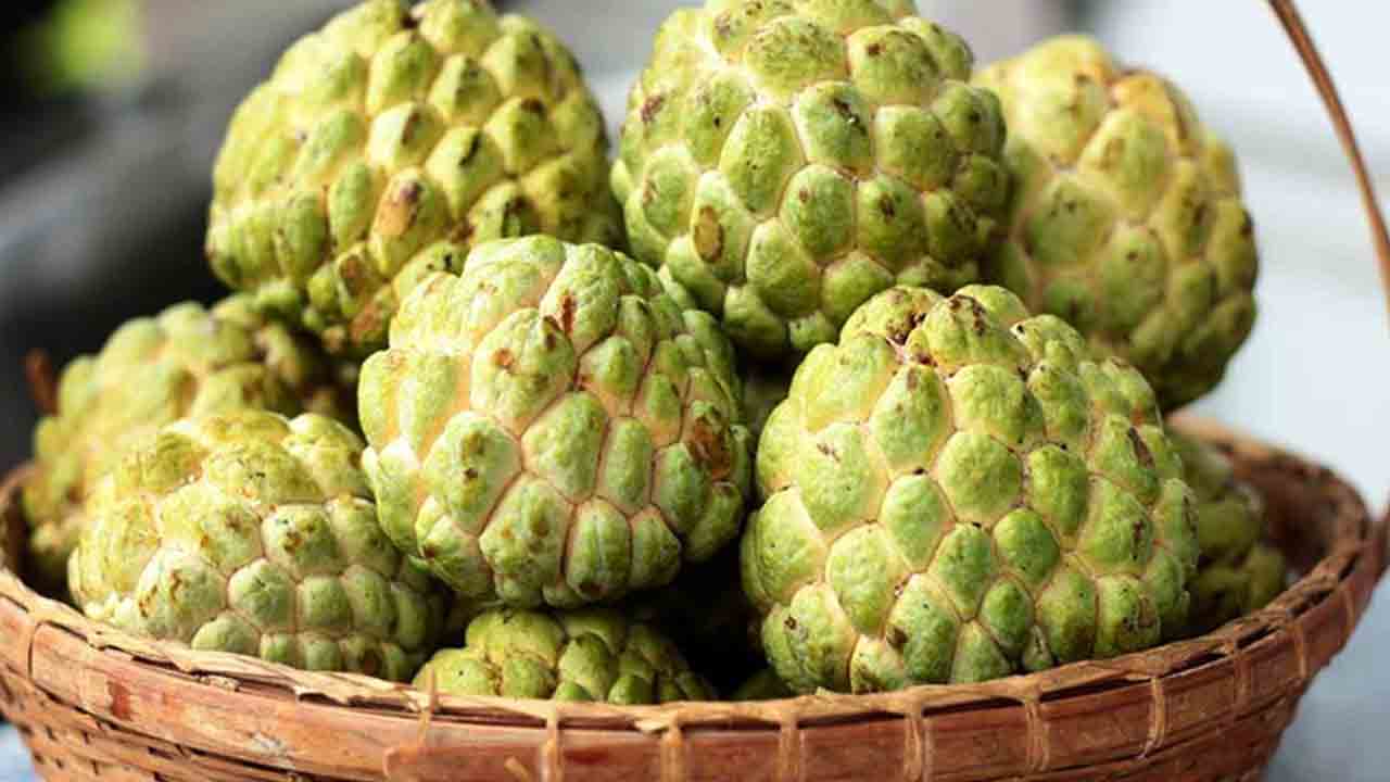 పేద‌వాడి యాపిల్‌.. సీతాఫ‌లంతో బోలేడు ప్ర‌యోజ‌నాలు..