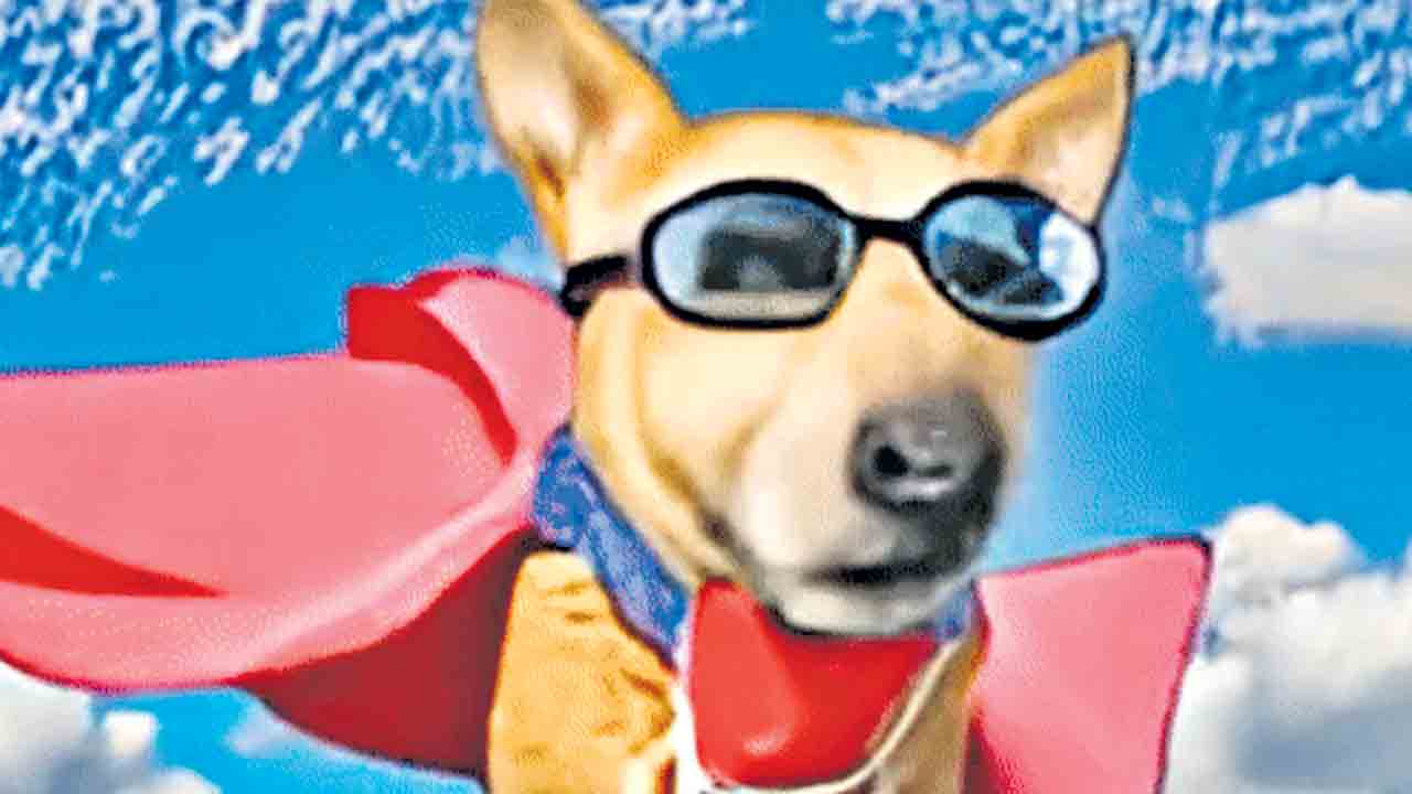 పదాల కూర్పుతో వీడియో తయార్‌!