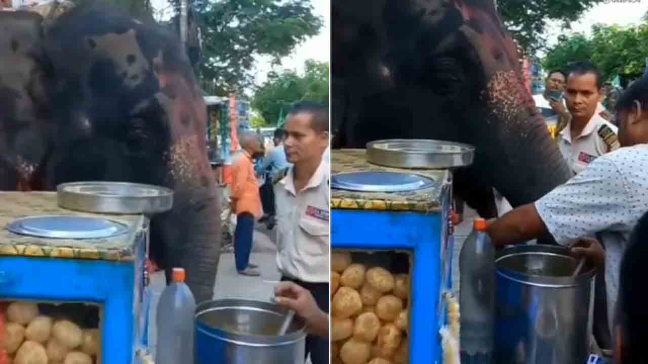 Viral Video: పానీపూరీని ఎంజాయ్‌ చేస్తూ తిన్న ఏనుగు