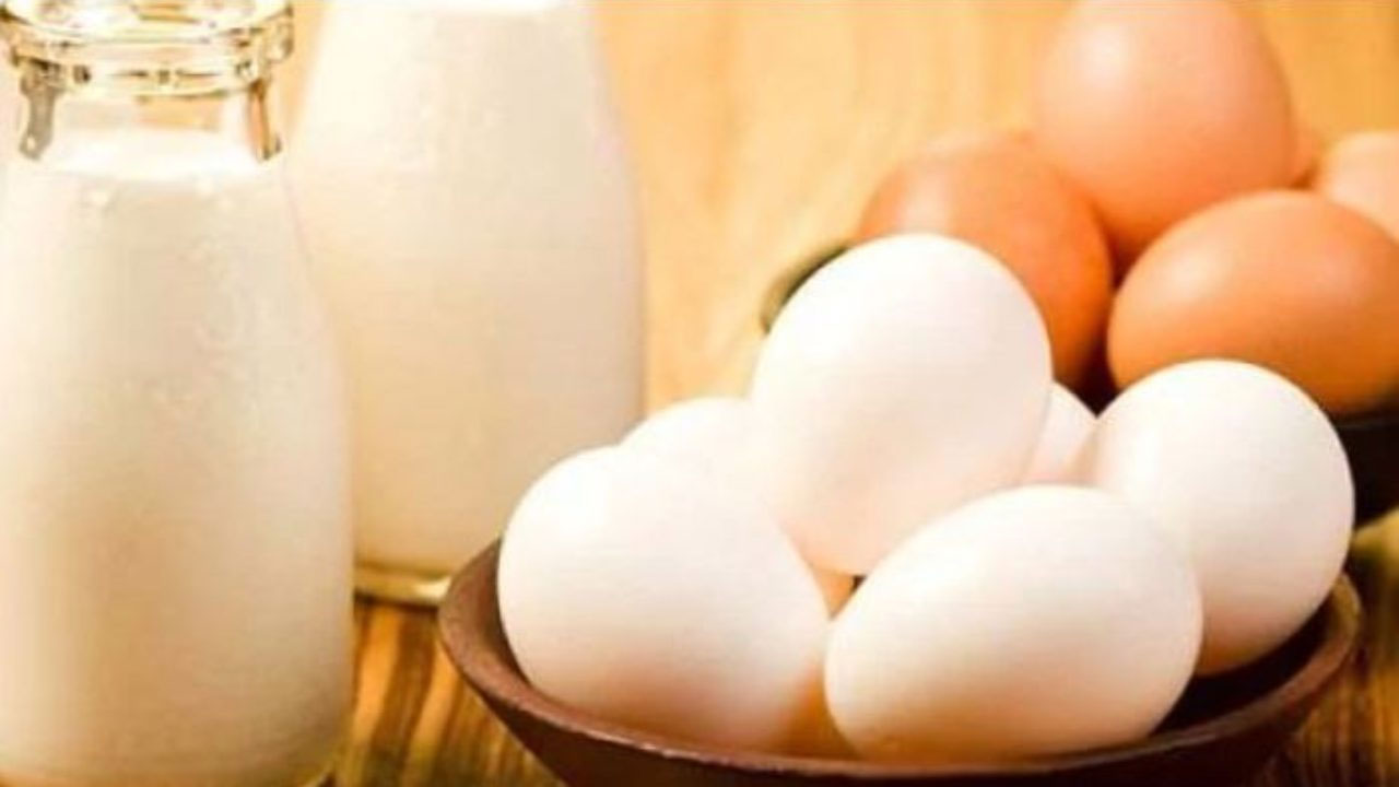 Health Tips | ప్రొటీన్ పుష్కలంగా ఉండే ఆహారం ఇదే..!