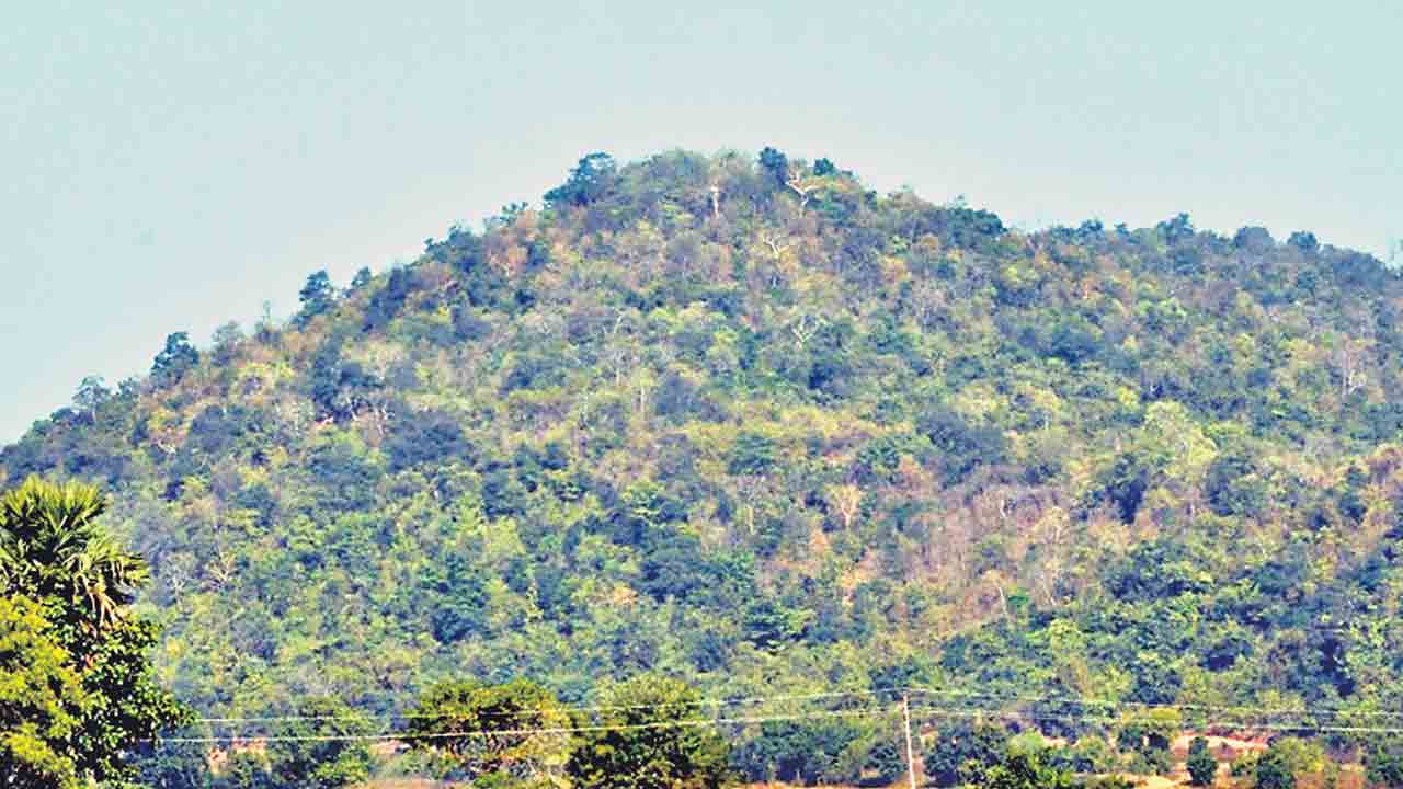 బయ్యారంలో నాణ్యమైన ఖనిజం