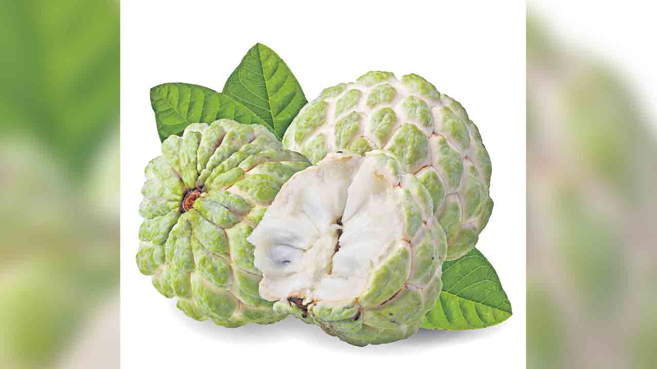 సీతాఫలంతో ఆరోగ్యానికి మేలు