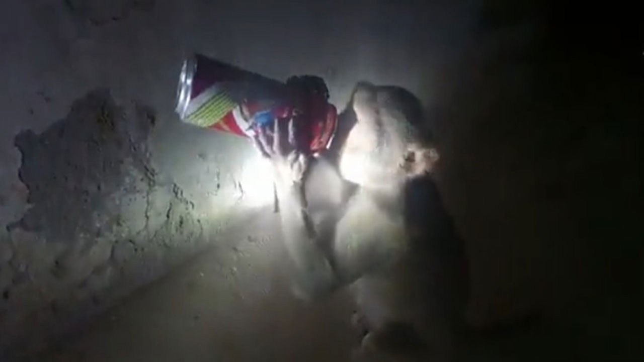 బీరు మ‌రిగిన కోతి వైన్ షాపులో దూరి..ఆపై..!