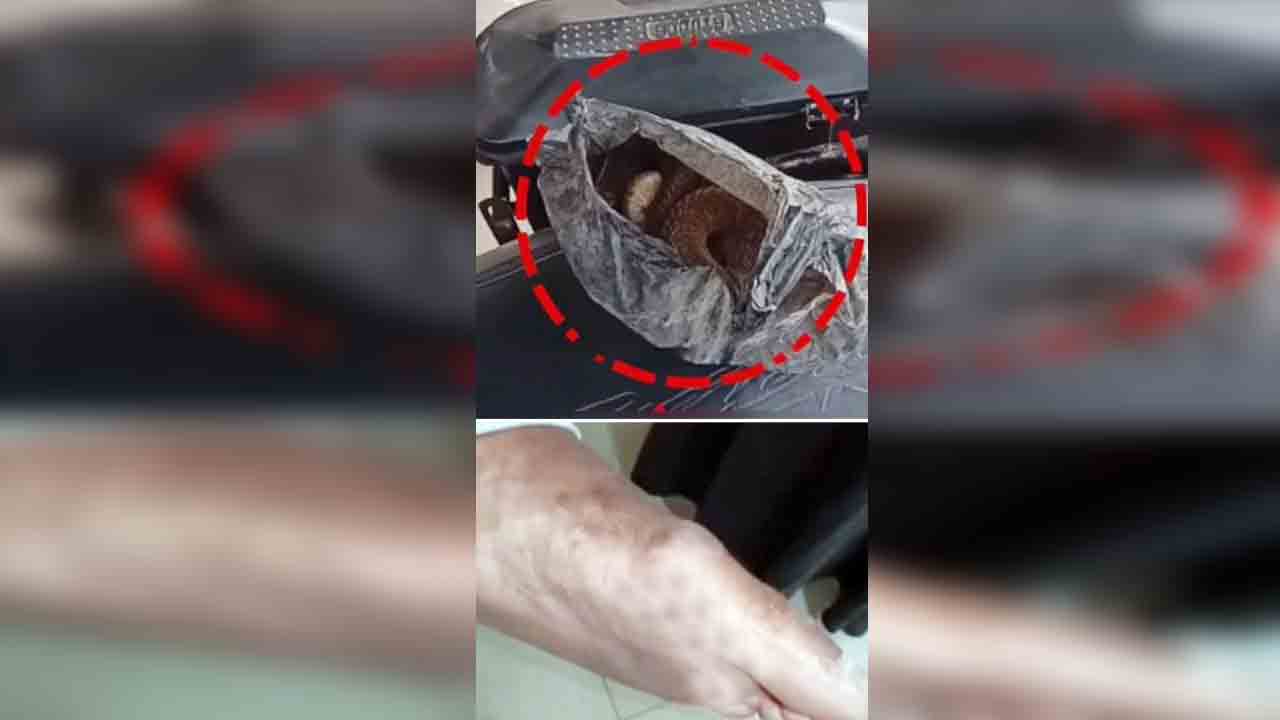 వ్యక్తిని కాటేసి.. ప్రాణాలు కోల్పోయిన కింగ్‌ కోబ్రా..!