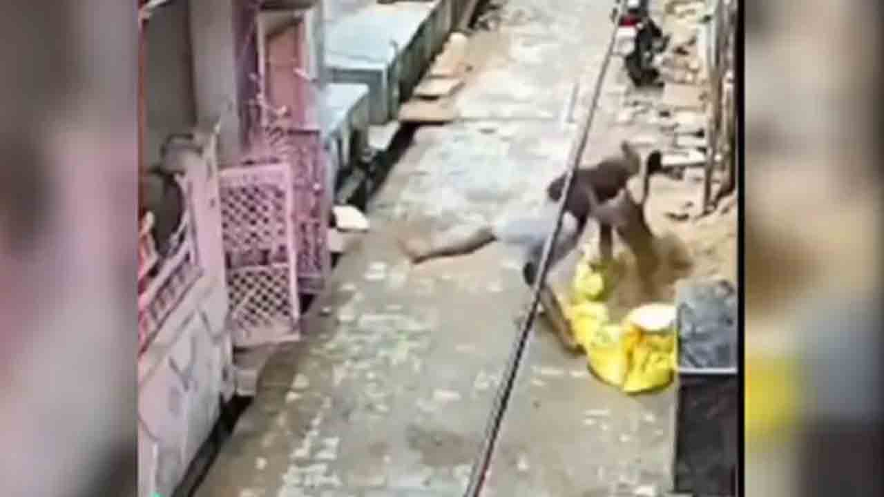 Viral Video: రాయి విసిరేందుకు వ్యక్తి యత్నం… కోతి ఏం చేసిందంటే?