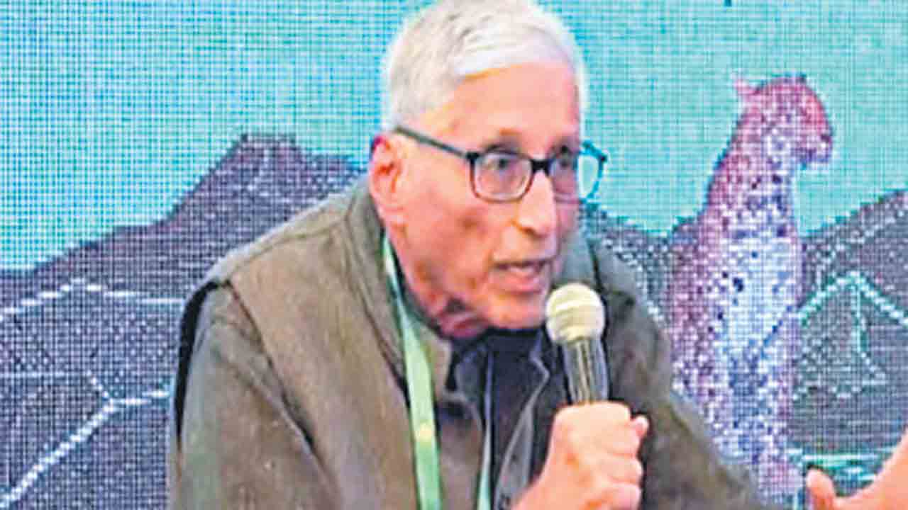 గాంధీ మనుమడి విలాపం