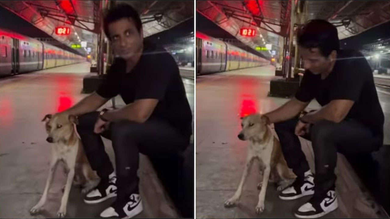 వైర‌ల్ వీడియో | వీధి శున‌కాల ప‌ట్ల‌ ప్రేమ‌ను పంచాలంటున్న‌ సోనూ సూద్‌