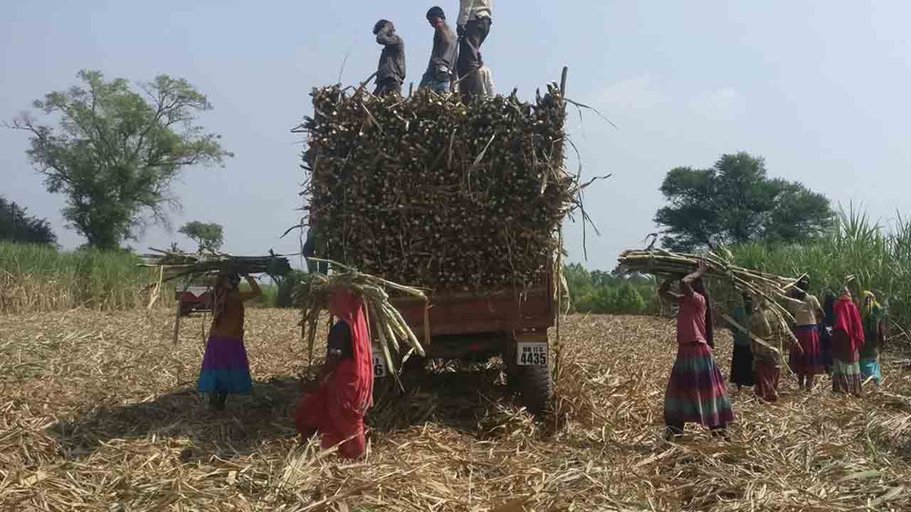 చక్కెర ఎగుమతిపై నిషేధం.. వచ్చే అక్టోబర్‌ వరకు పొడిగించిన కేంద్రం