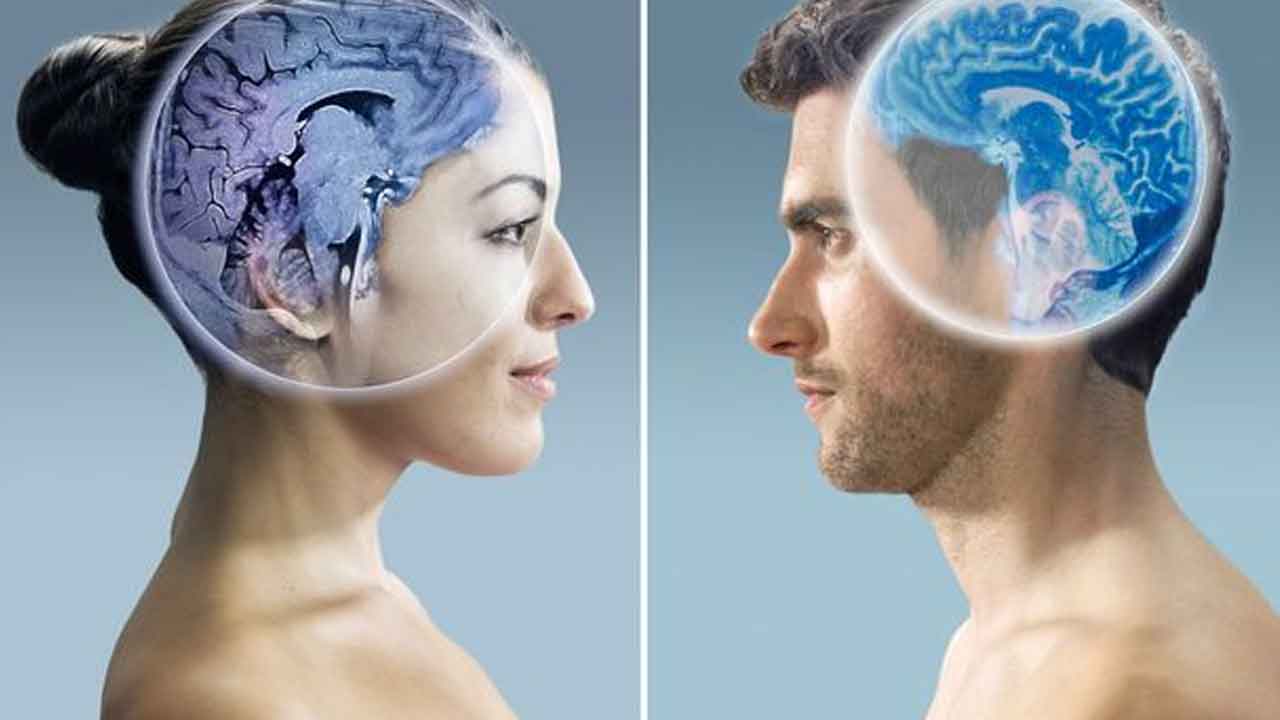 Womens brain | ఆడవారు 50 ఏండ్ల క్రితం మాటల్ని కూడా గుర్తుంచుకోగలరు.. నార్వే పరిశోధకుల వెల్లడి