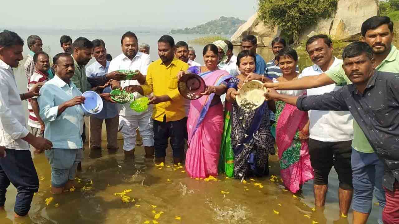 రామడుగు ప్రాజెక్టులో 8.10 లక్షల చేపపిల్లల విడుదల