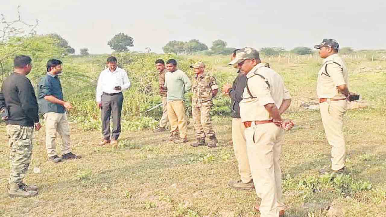 పులి ఎక్కడ..?