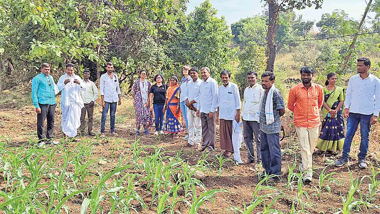 భూగర్భ జలాల అభివృద్ధికి కృషి