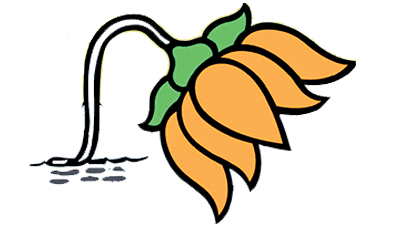 కాషాయానికే కళంకం