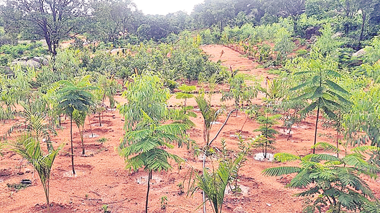 ప్రగతి పథంలో తిర్మలాపూర్‌